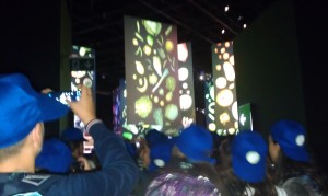 IMAG6639